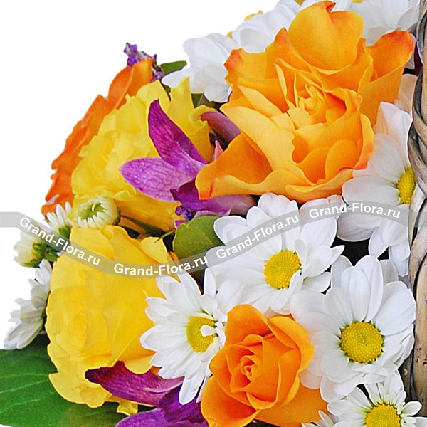 Весенний привет - корзинка из роз,хризантем и статицы