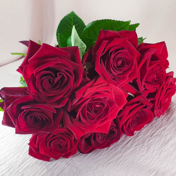 Букет из красных роз (60 см)