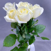 Букет из белых роз (50-60 см) 2